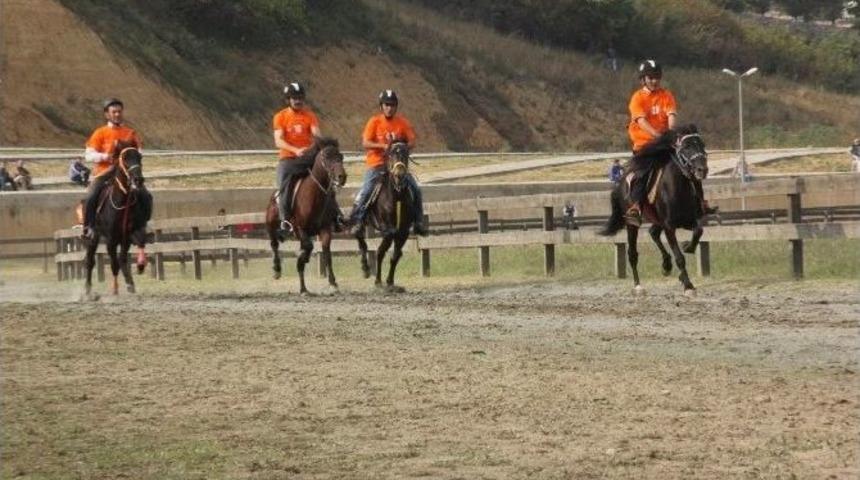 Rahvan Atlar T&uuml;rkiye Şampiyonası Kocaeli&rsquo;de Yapıldı