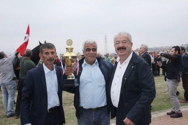 Rahvan Atlar Türkiye Şampiyonası Kocaeli’de Yapıldı