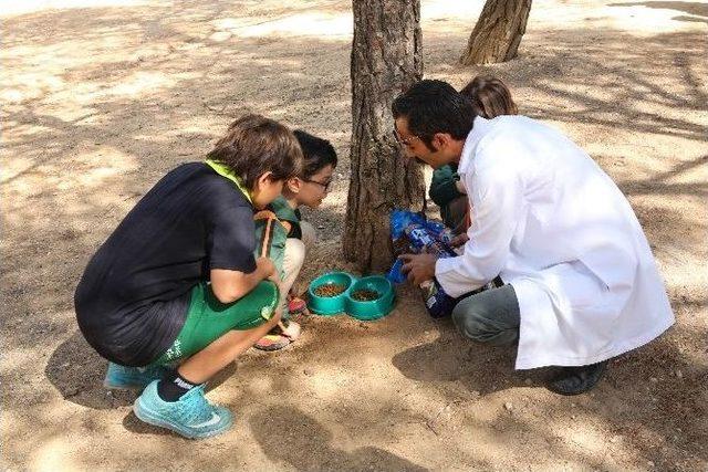 Şehitkamilli &Ouml;ğrenciler Geleceğine Sahip &Ccedil;ıkıyor 2