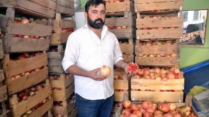 Siirt&rsquo;in Meşhur Zivzik Narı Altın Yılını Yaşıyor