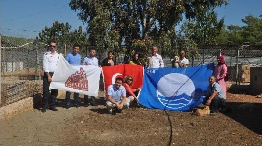Şah İnn Paradise, Sosyal Sorumluluk Projelerine Devam Ediyor