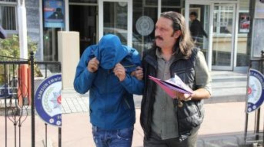 Evinin Balkonunda Kenevir Yetiştirdi