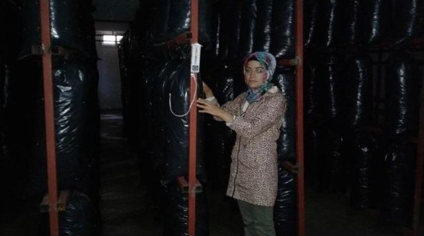 Gen&ccedil; &Ccedil;ift&ccedil;iler Mantar Yetiştirdi