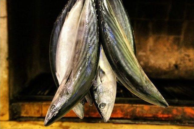 Şile&rsquo;de Palamut Bereketi Balık&ccedil;ıların Y&uuml;z&uuml;n&uuml; G&uuml;ld&uuml;r&uuml;yor 2