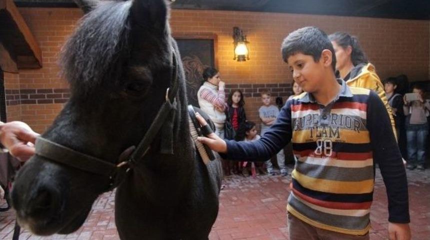 Bilgievi &Ouml;ğrencileri Atlı Eğitim Merkezini Ziyaret Etti