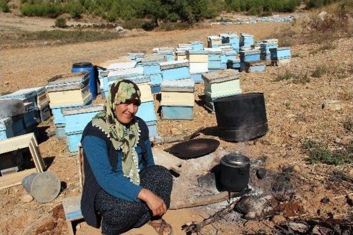 Gezgin Arıcılar Bal Fiyatlarından Dertli G2