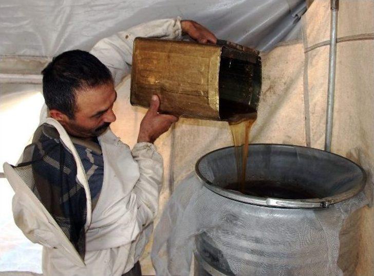 Gezgin Arıcılar Bal Fiyatlarından Dertli G4