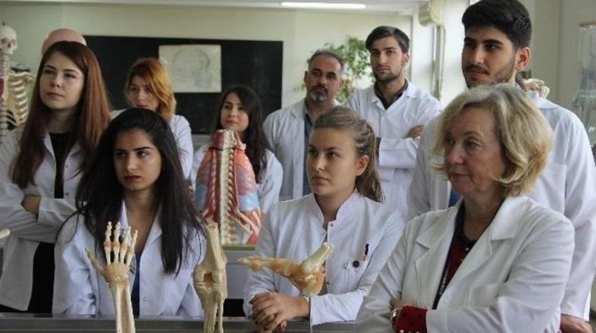 Ev Fiyatına Kadavra İthalatı