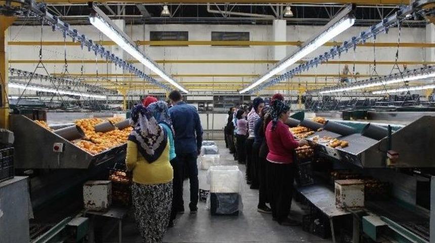 İyi Tarım Uygulamalarında Teknik Gezi D&uuml;zenlendi