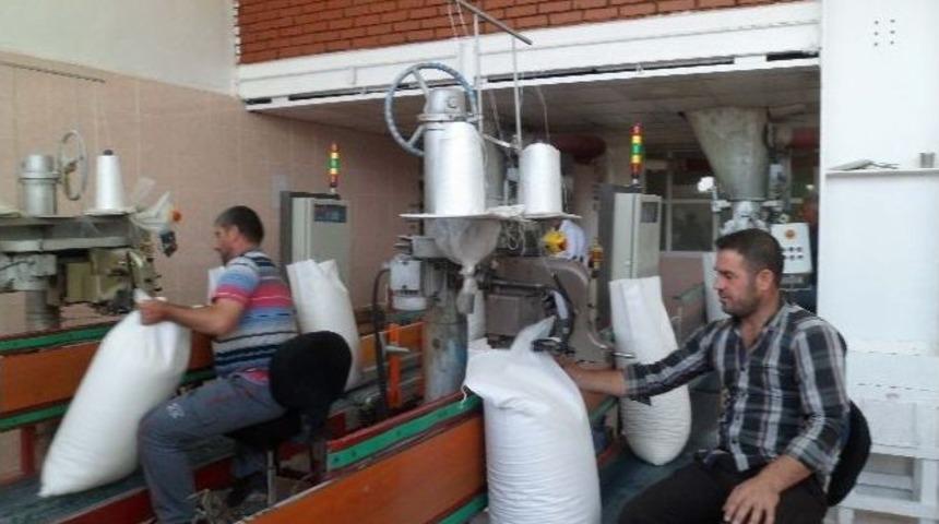 Muş Şeker Fabrikası Kapasitenin &Uuml;zerinde &Ccedil;alışıyor
