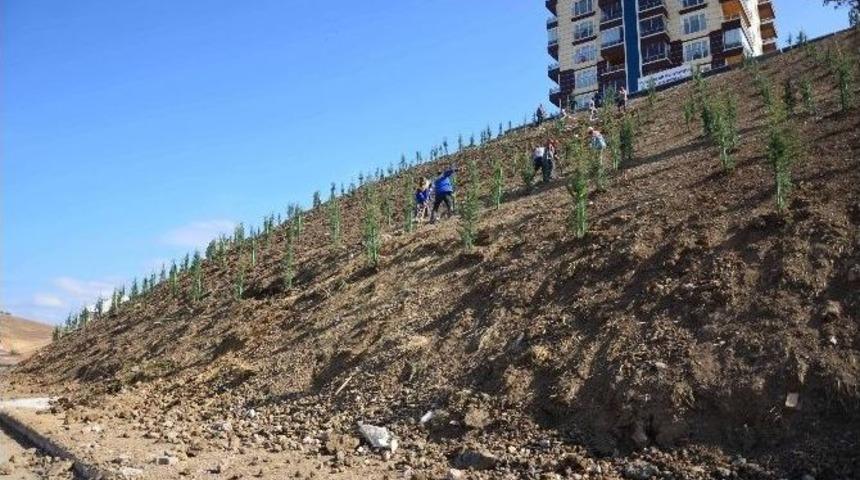 Ağa&ccedil;lar Toprakla Buluşmaya Devam Ediyor