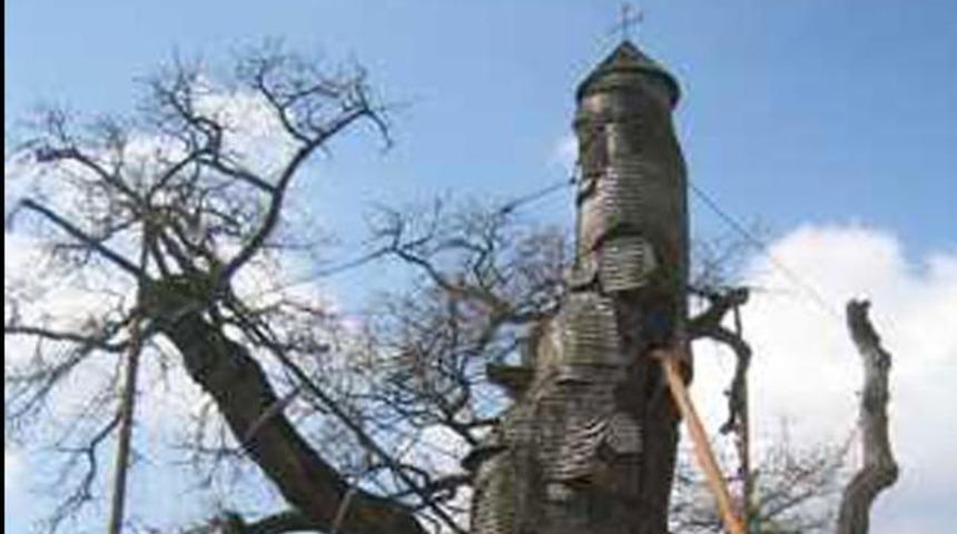 Aslında onlar ağa&ccedil;