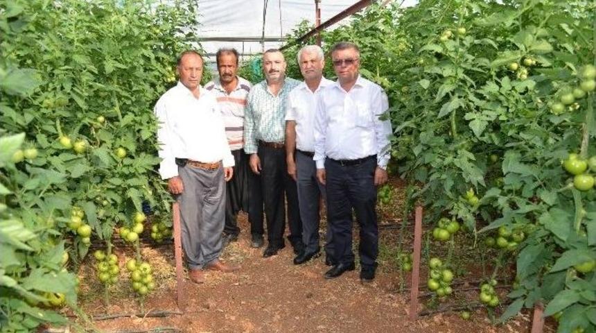 Erdemli&rsquo;de &Ccedil;ift&ccedil;iye Sağlıklı Ve Kaliteli &Uuml;r&uuml;n&uuml;n &Ouml;nemi Anlatıldı