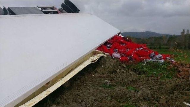 Sinop&rsquo;ta Tır Devrildi: 1 Yaralı 1