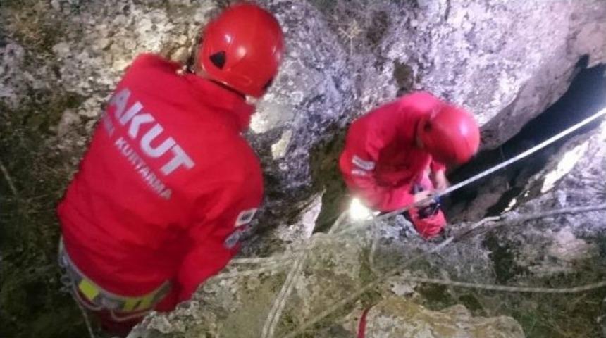 2 G&uuml;n Boyunca Kayalıklarda Mahsur Kalan K&ouml;pek Kurtarıldı