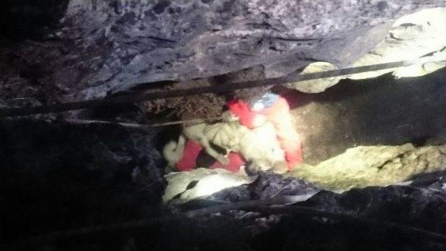 2 Gün Boyunca Kayalıklarda Mahsur Kalan Köpek Kurtarıldı