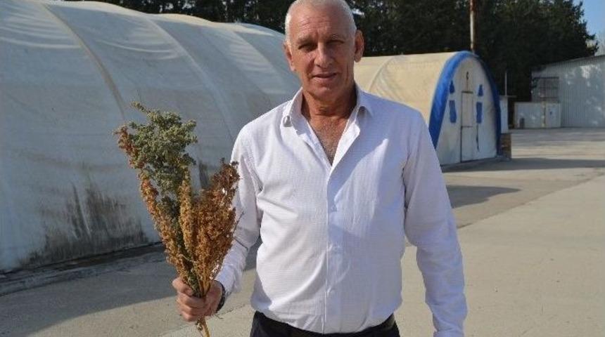 Caner Erkin&rsquo;in Şifası Beşiktaşlı İş Adamından