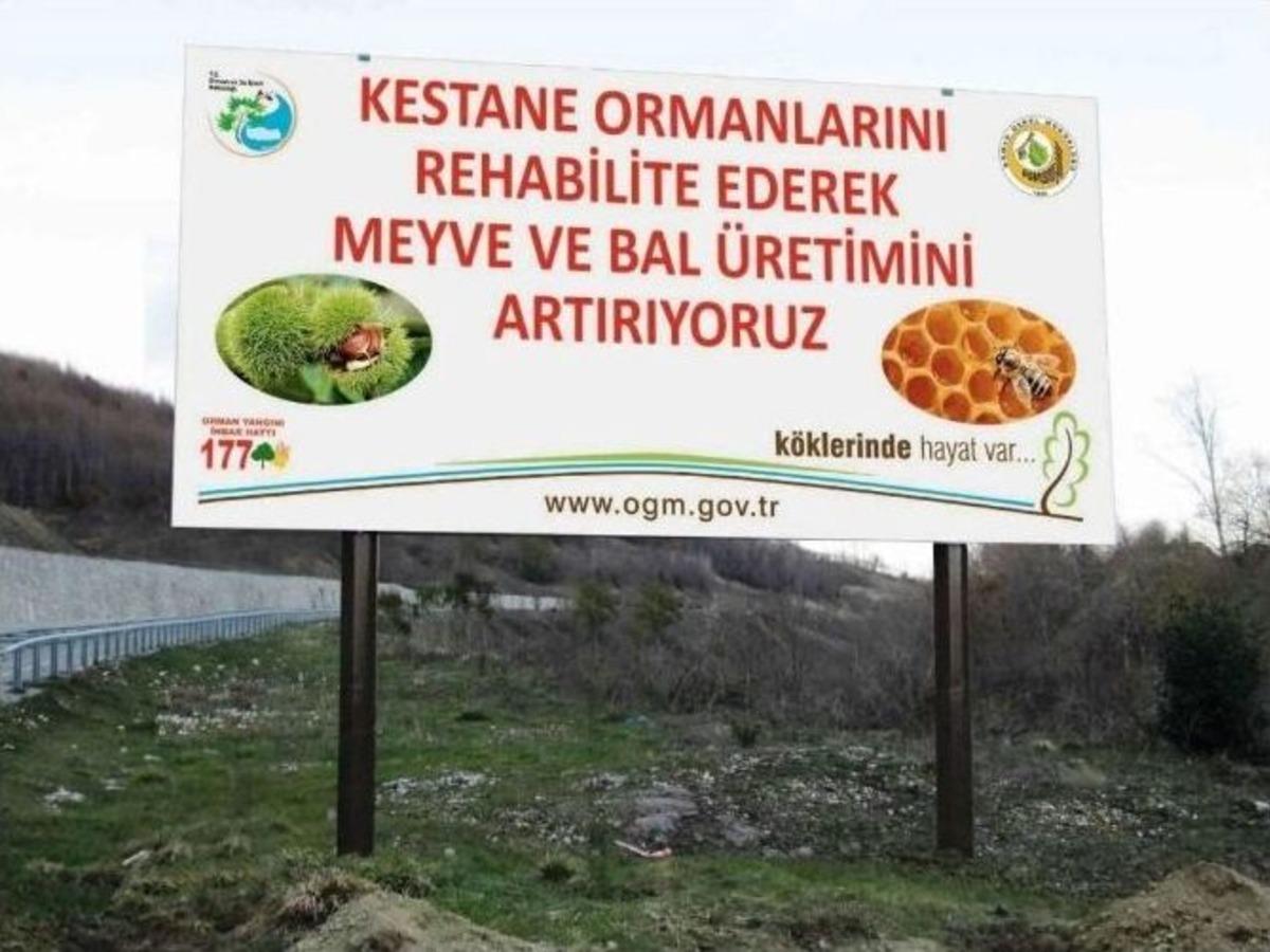 Zonguldak Ve Bartın&rsquo;da Kestane Kanserine Karşı M&uuml;cadele S&uuml;r&uuml;yor