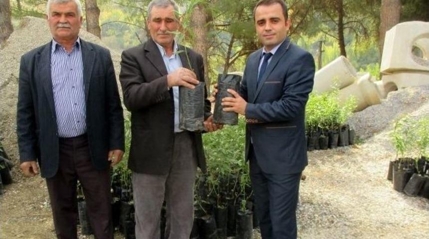 Manisa&rsquo;da Meyve Yetiştiriciliği Destekleniyor