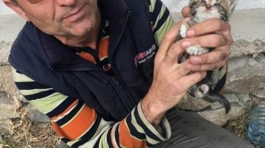 Sorgun&rsquo;da Kedi Yavrularına İtfaiye Ekipleri Sahip &Ccedil;ıtı