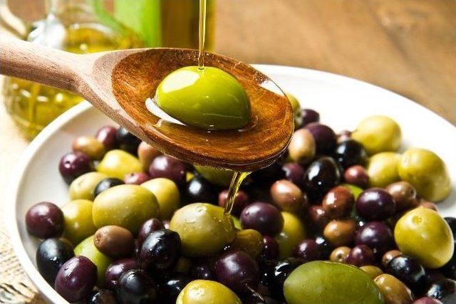 Akhisar’da Zeytin Hasadı Başladı