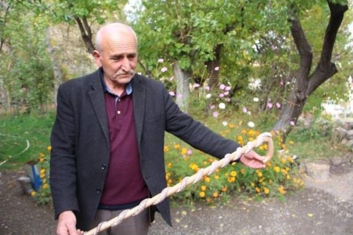 Yılanlı Baston G&ouml;renleri Korkutuyor