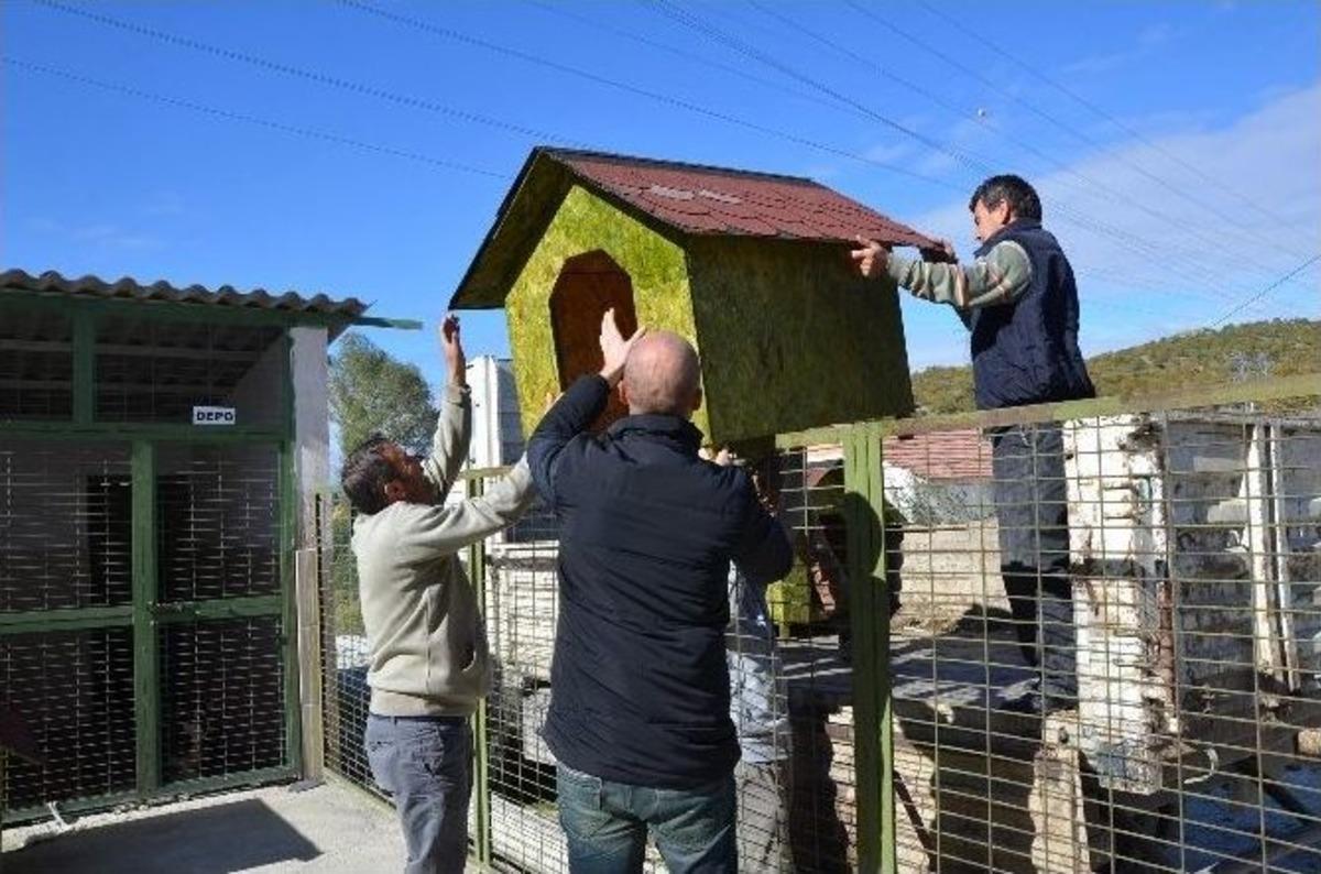 Boz&uuml;y&uuml;k Belediyesi Ge&ccedil;ici Hayvan Bakımevi&rsquo;ne Yeni K&ouml;pek Kul&uuml;beleri