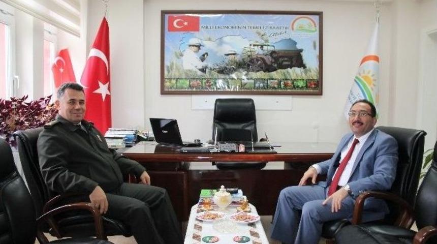 Bilecik Gıda Tarım Ve Hayvancılık M&uuml;d&uuml;r&uuml; Yıldız&rsquo;a İade-i Ziyaretler
