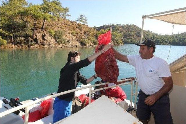 Bodrum’da Çatı Ve Amazon Koyu Temizlendi