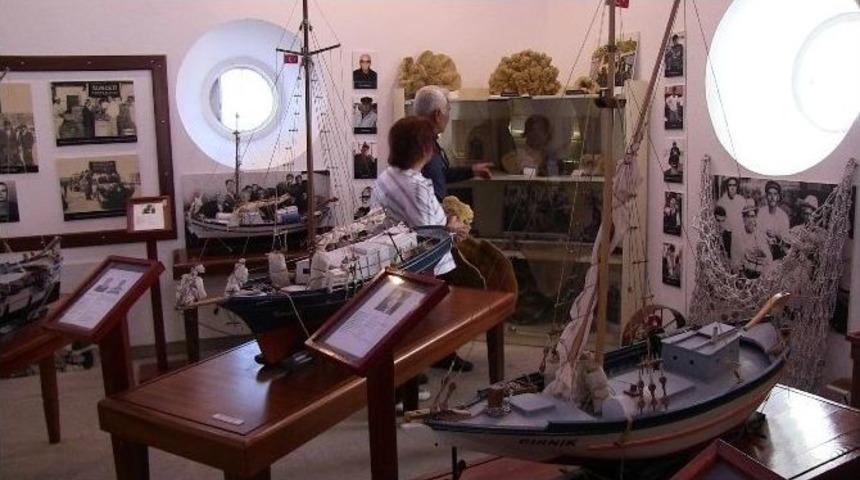 Son S&uuml;ngerci, S&uuml;nger Avına Devam Ediyor