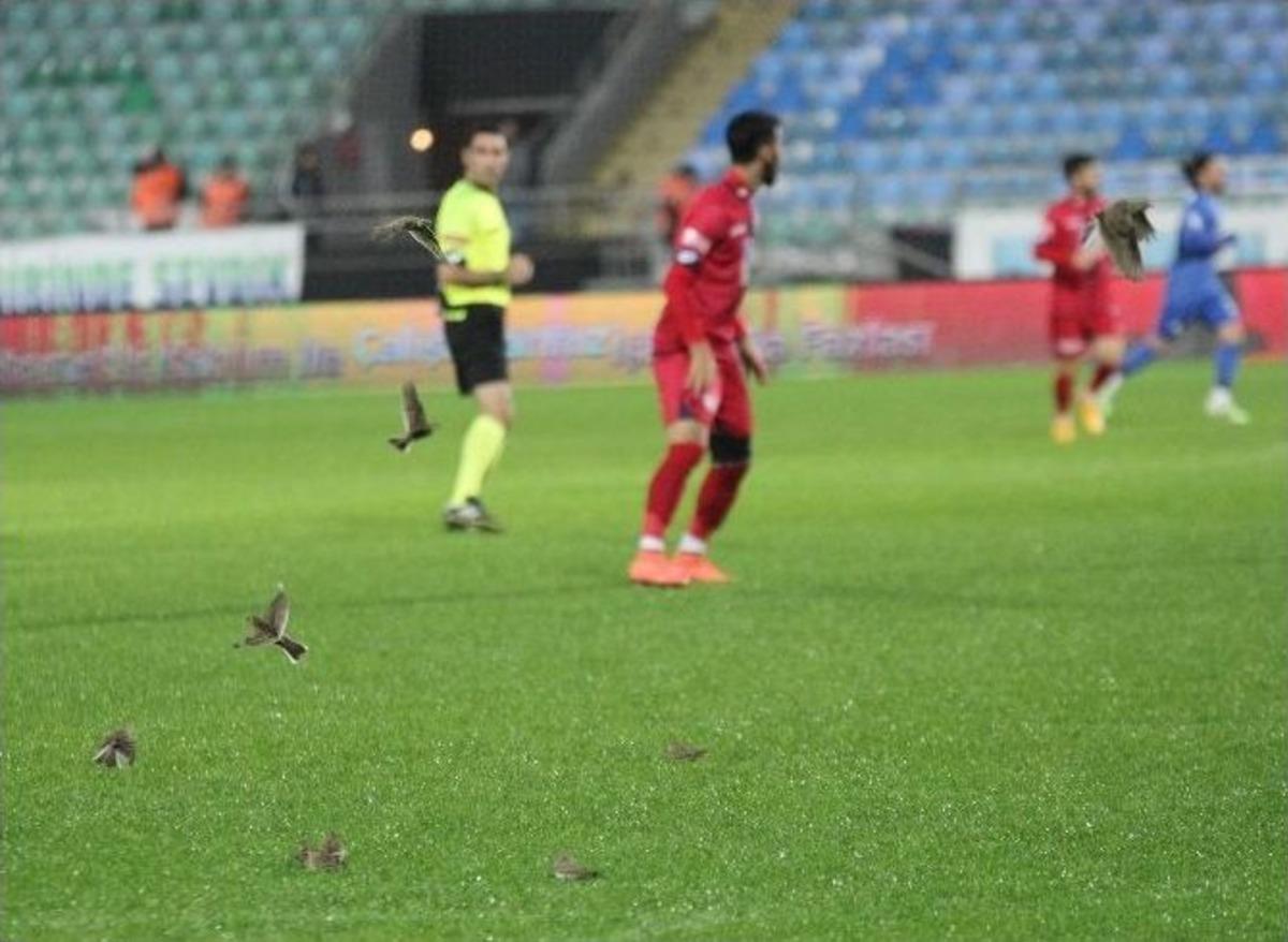 Ziraat T&uuml;rkiye Kupası 3. Eleme Turu