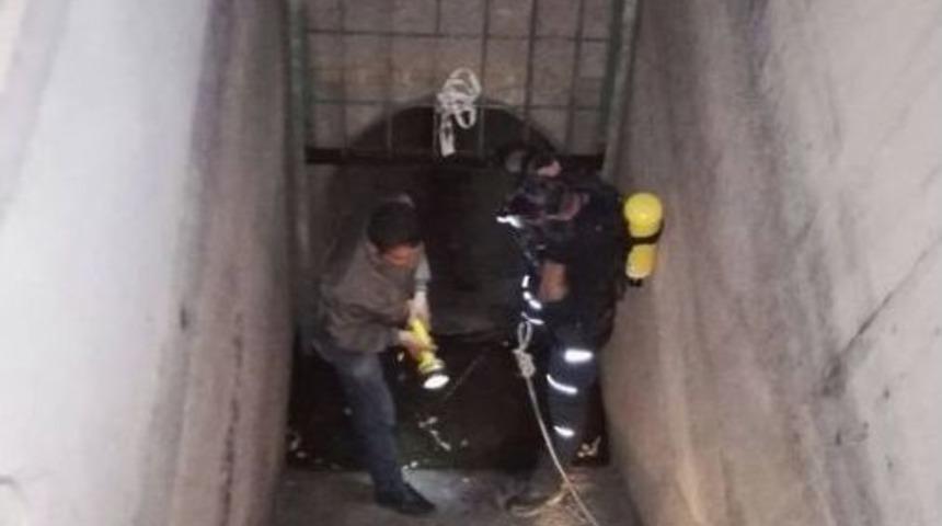 200 Metre Derinliğindeki Kanala D&uuml;şen K&ouml;peği, Afad Kurtardı