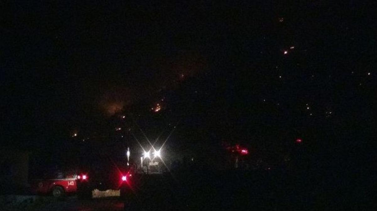 Adana&rsquo;da Orman Yangını