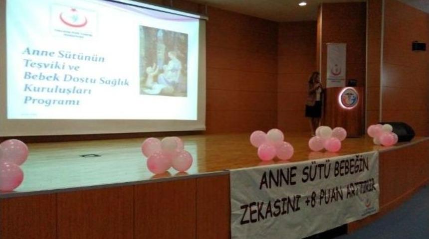 Anne S&uuml;t&uuml; Ve Danışmanlık Eğitimi