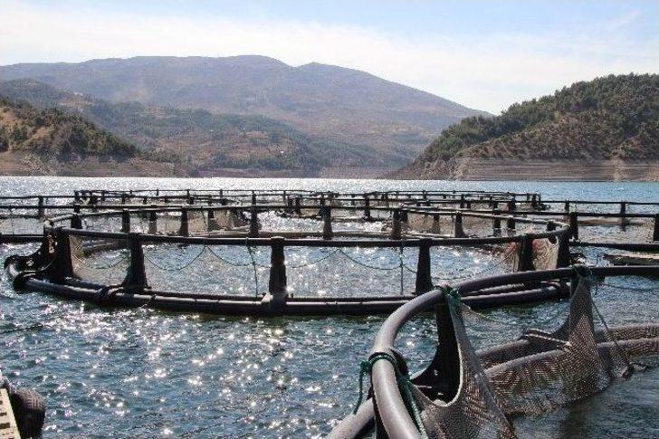 Denizi Olmayan Şehirden Kıtalar Arası Balık İhracatı G3