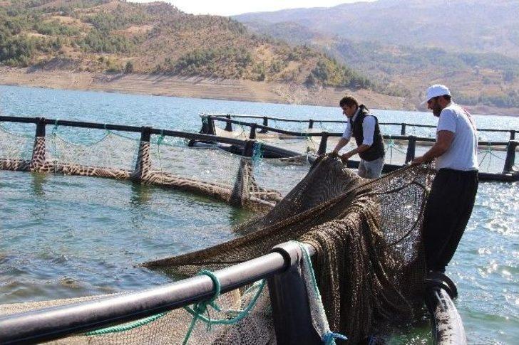 Denizi Olmayan Şehirden Kıtalar Arası Balık İhracatı G4