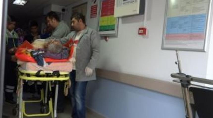 Kestiği Ağacın Altında Kalan Kişi Yaralandı