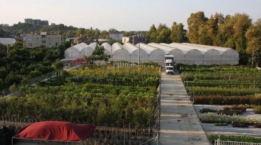 Alanya Mevsimlik &Ccedil;i&ccedil;eklerle Donatılıyor