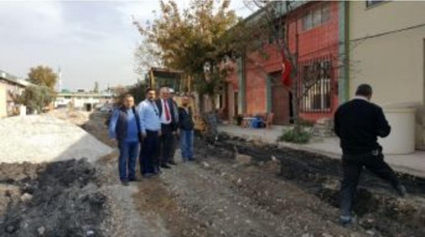 Gemlik Zeytin Hali&rsquo;ne Makyaj