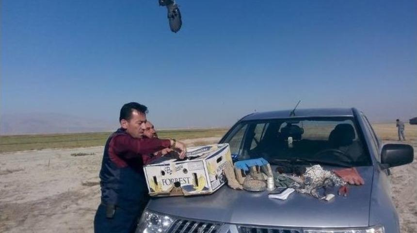 Tuzak&ccedil;ı Avcılar Yakalandı