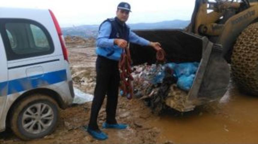 İzmit Zabıtası, Halk Sağlığını Tehlikeye Sokan Sucuklara El Koydu