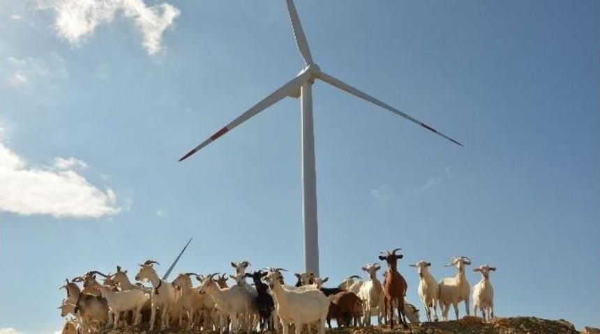 T&uuml;rkiye&rsquo;de İlk