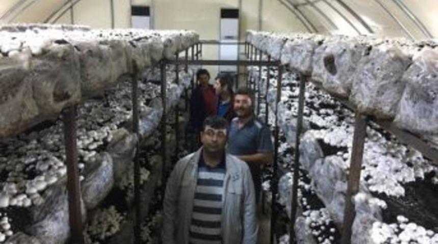 Beyşehir&rsquo;de Hibeden Yararlanan Gen&ccedil; &Ccedil;ift&ccedil;iler K&uuml;lt&uuml;r Mantarı Yetiştiriyor