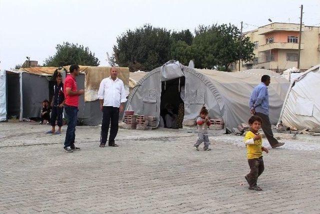 Batman’a Sığınan Iraklı Yezidiler Türkçe Öğrenmek İstiyor