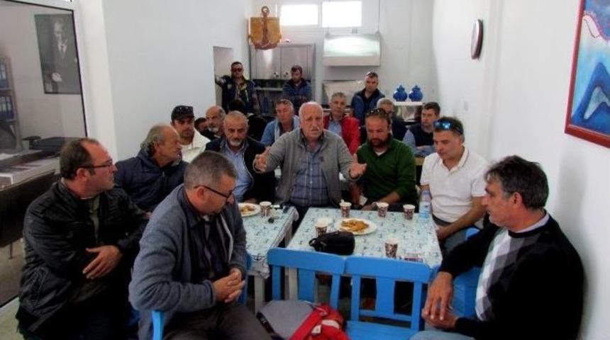 Denizci Ve Balık&ccedil;ılar Deniz Patlıcanlarının Toplanmasını İstemiyor