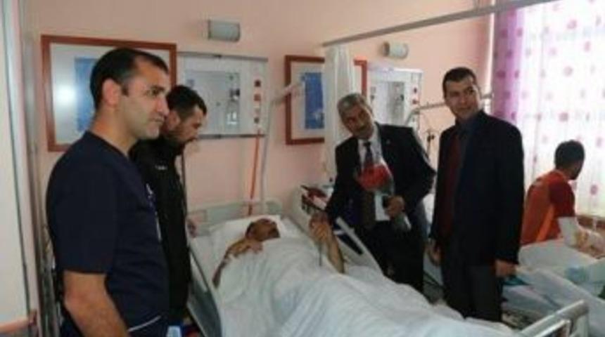 D&uuml;nya Hasta Hakları G&uuml;n&uuml;nde G&uuml;l Dağıttılar