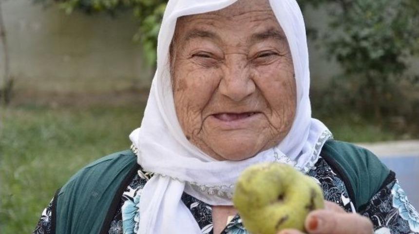 G&ouml;z&uuml;ne Armut D&uuml;şt&uuml;, K&ouml;r Oluyordu