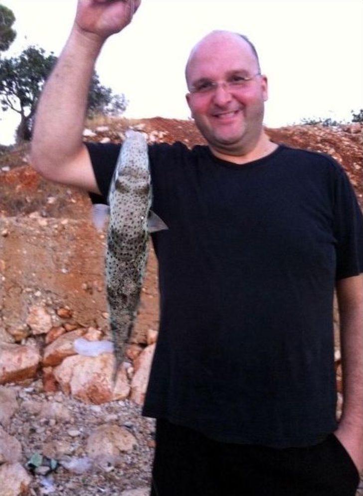 (özel Haber) Akdeniz’de Balon Balığı Kabusu G5