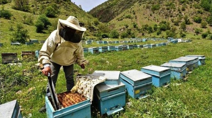 Fotoğraf Sanat&ccedil;ısı Olcay&rsquo;dan Bir Başarı Daha