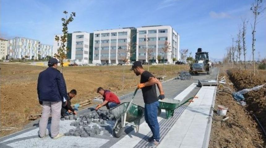 Nk&uuml; Kamp&uuml;s Giriş Kapısı Peyzaj &Ccedil;alışması Ve Yol D&uuml;zenlemeleri T&uuml;m Hızıyla Devam Ediyor
